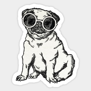 Cool Pug Sticker